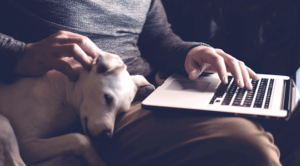 dog with owner on a computer
