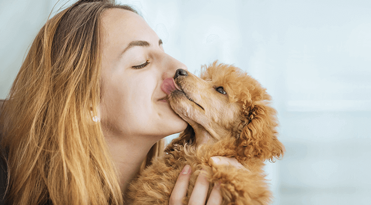 fluffy tan dog with young woman